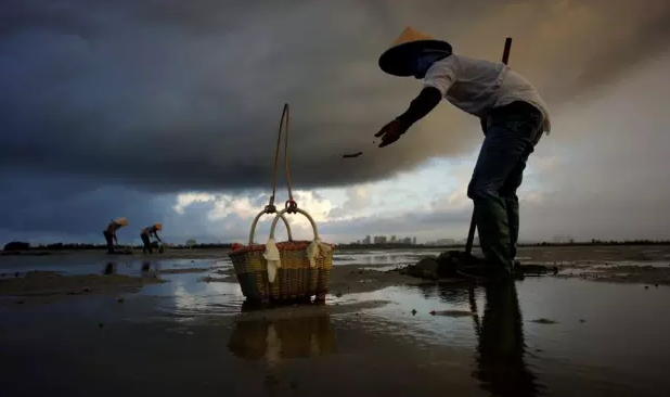 �����������V������������