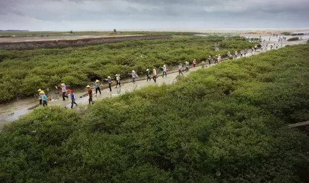 �����������V������������