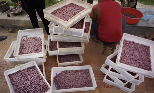 �������أ��V������������