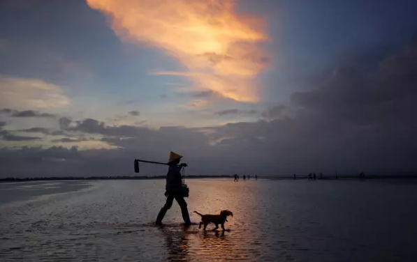 �����������V������������