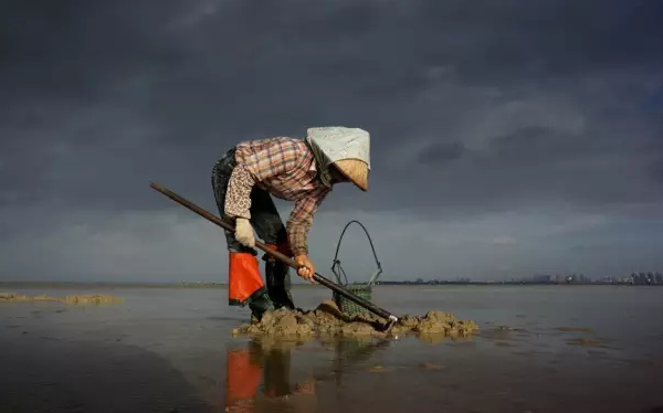 �����������V������������