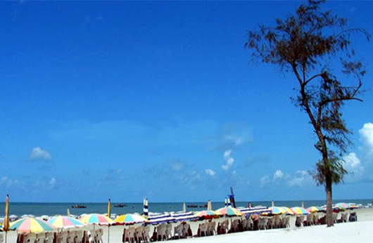 �����������V������������