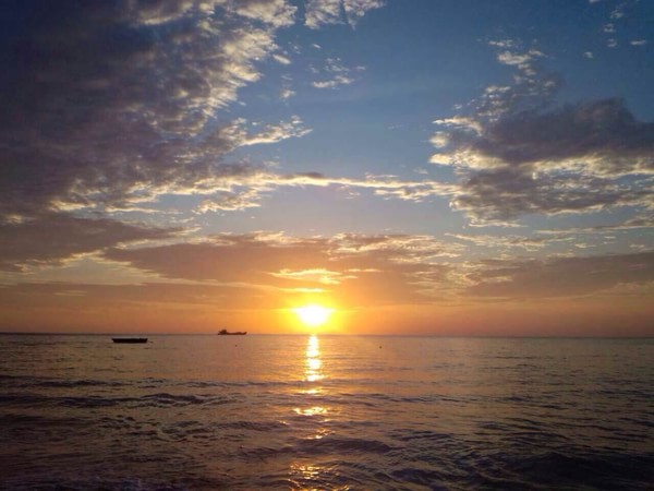 �����������V������������