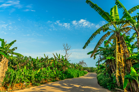 �������Σ��V������������