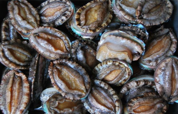 ���������r���V������������