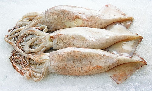 ���������r���V������������