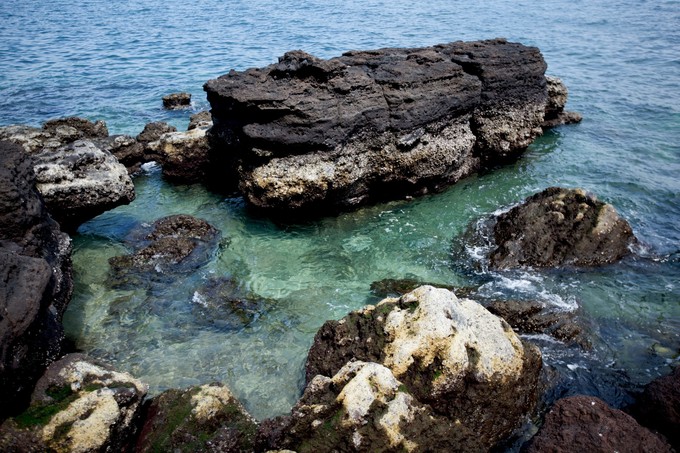 ���������ލu���V������������