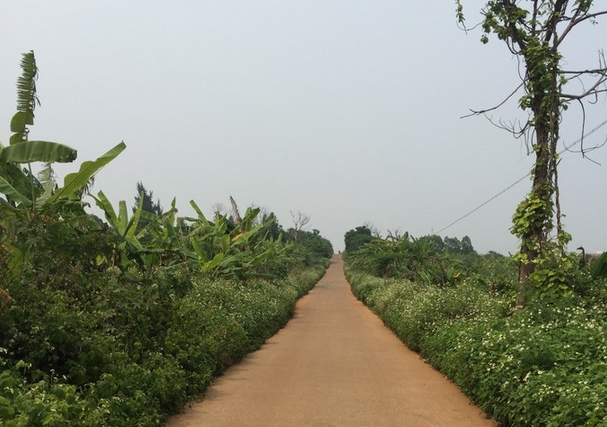 ���������ލu���V������������