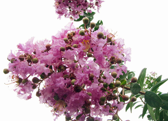 �����������V������������