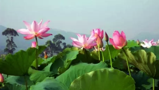 �����������V������������