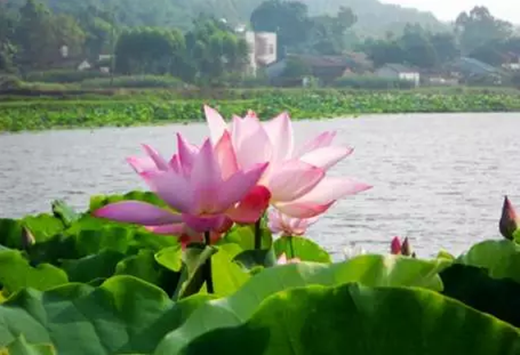 �����������V������������