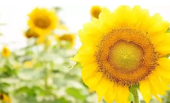 �������Σ��V������������