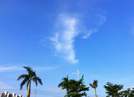 �����������V������������