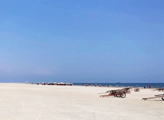 �������Σ��V������������