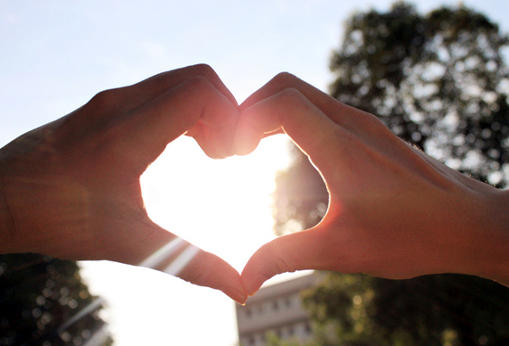 �����������V������������