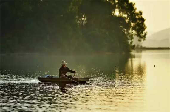 �����������V������������