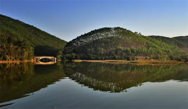 �����������V������������