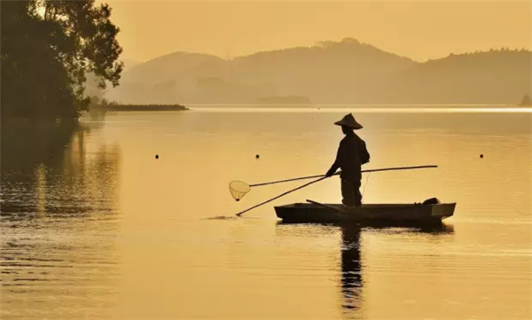 �����������V������������