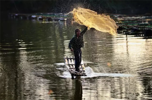 �����������V������������