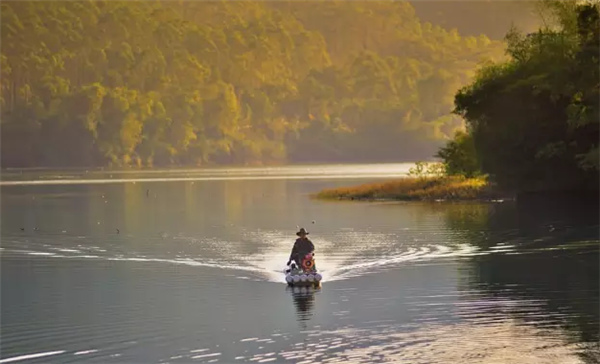 �����������V������������