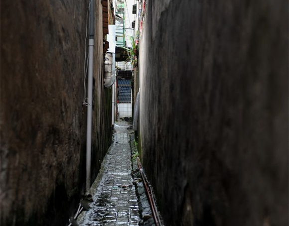 �����Ͻ֣��V������������