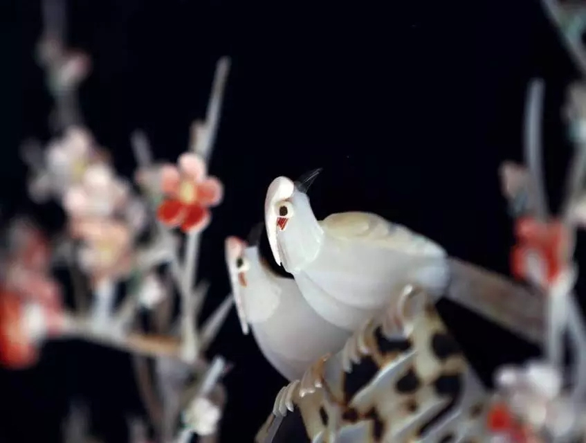 �����������V������������