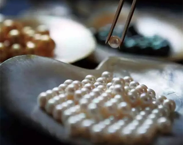 �������Σ��V������������