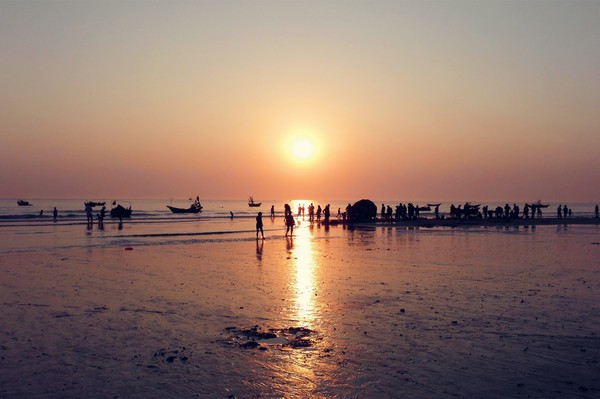 �������V������������