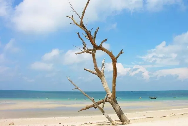 �������V������������