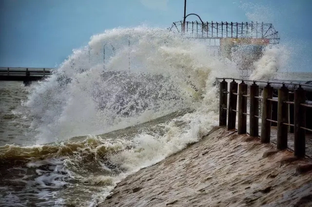 �������V������������