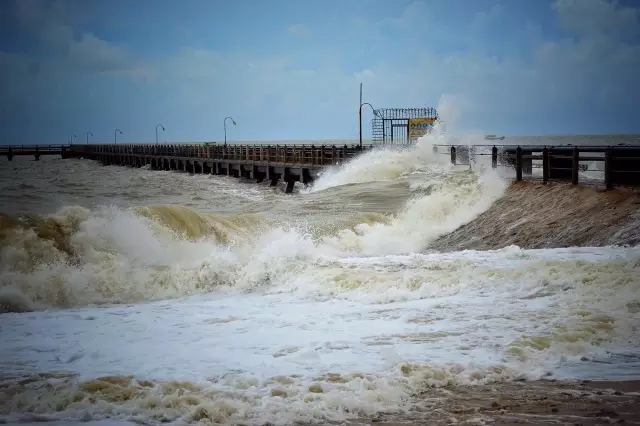 �������V������������