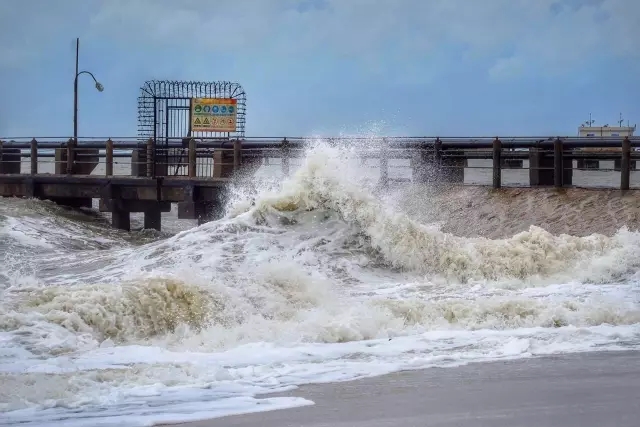 �������V������������