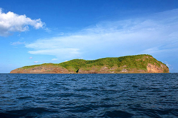 �����������V������������