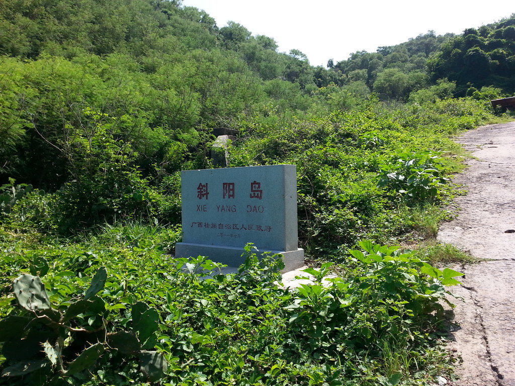 �������Σ��V������������