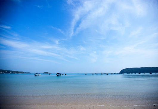 ���ލu�������V������������