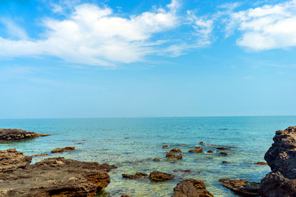 ���ލu�������V������������