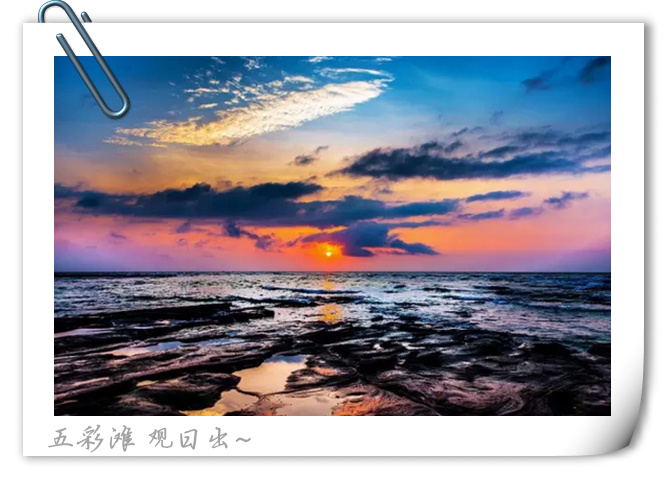 ���ލu�������V������������