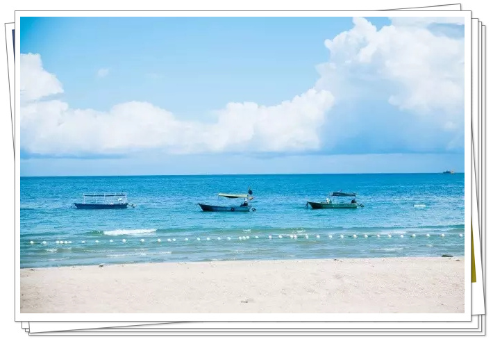 �������ލu���V������������