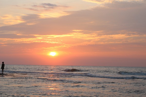 �����������V������������