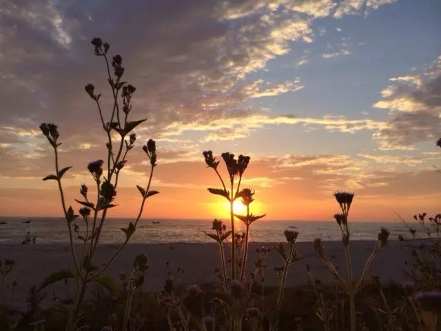 �������Σ��V������������