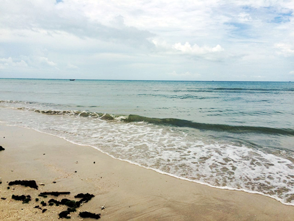 �������ލu���V������������