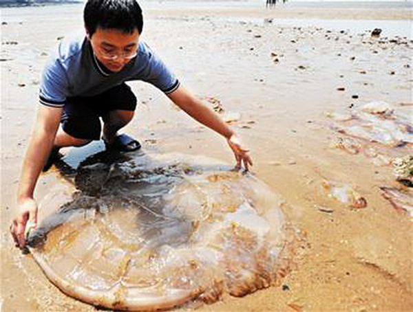 �������Σ��V������������