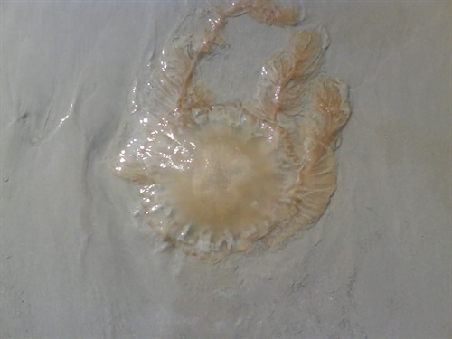 �����������V������������