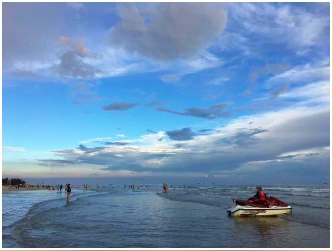 �����������������V������������