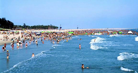 �����������������V������������