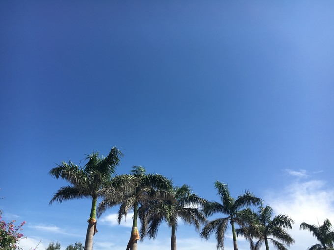 �������Σ��y�����V������������