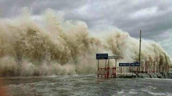 �����������V������������