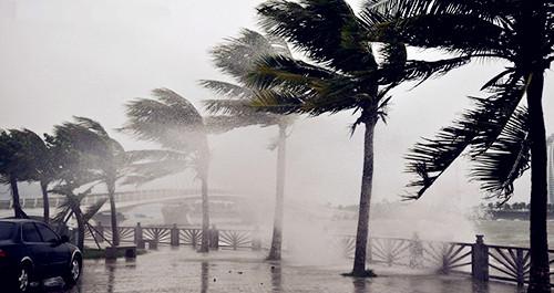 �������Σ��V������������