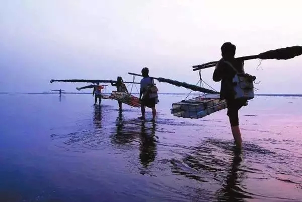 �������s�����V������������