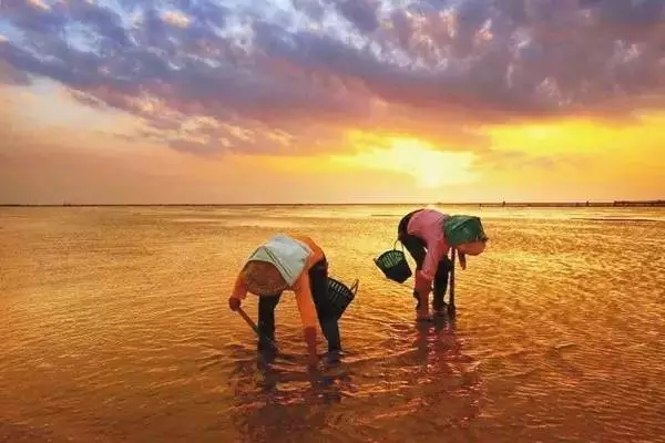 �������s�����V������������